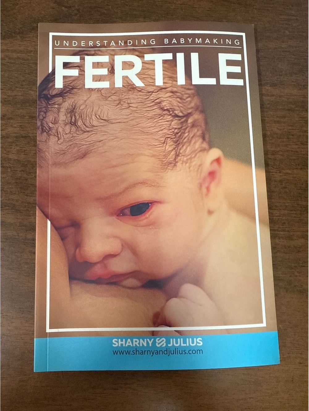 Fertile: Understanding Babymaking by Sharny & Julius - Informative Guide on Fert